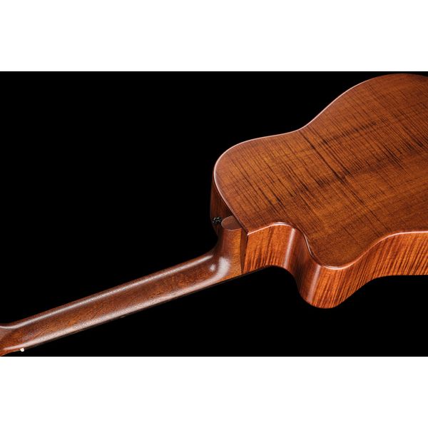 Beard Guitars Trailhead E-Model CE Tobacco