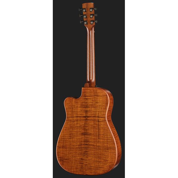 Beard Guitars Trailhead E-Model CE Tobacco