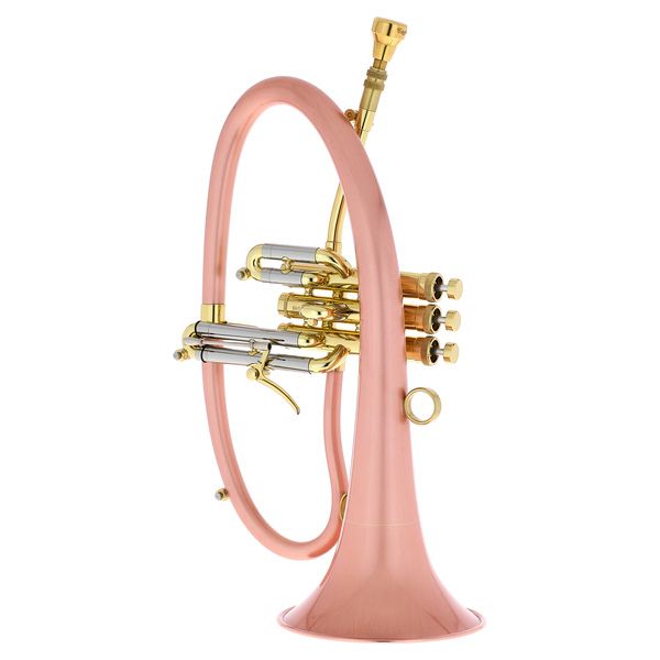 Taylor Trumpets Phat Boy