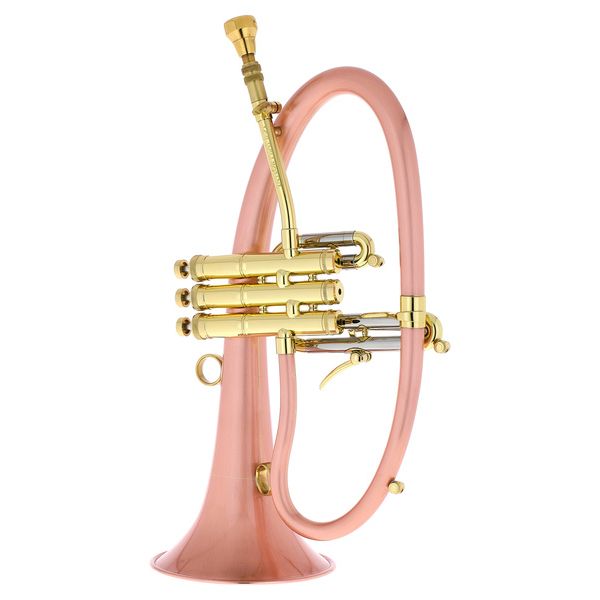 Taylor Trumpets Phat Boy
