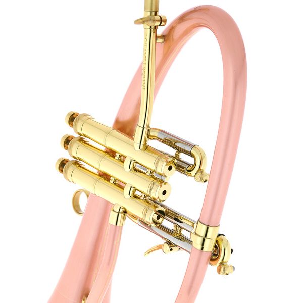 Taylor Trumpets Phat Boy