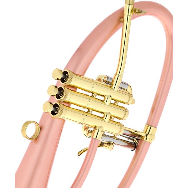 Taylor Trumpets Phat Boy