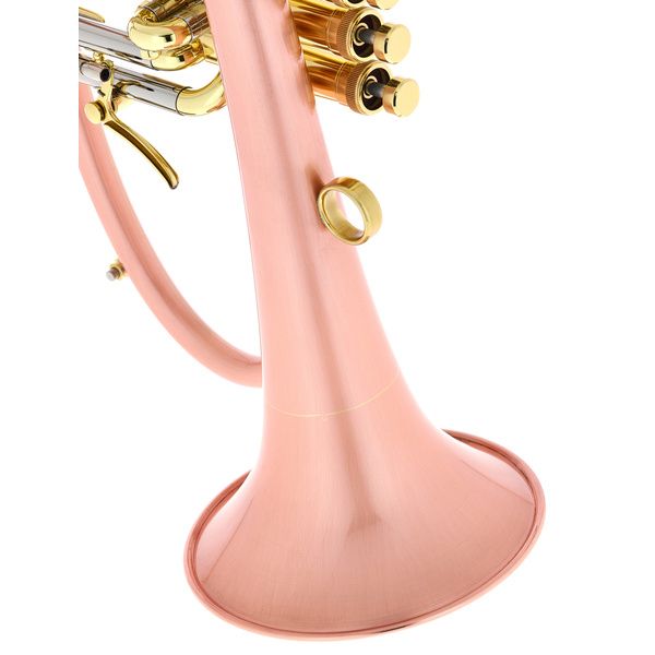 Taylor Trumpets Phat Boy