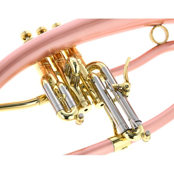 Taylor Trumpets Phat Boy