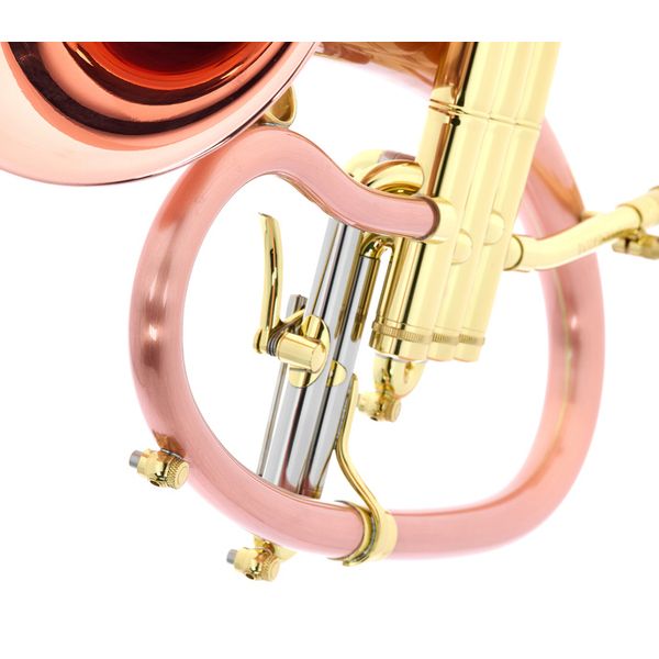 Taylor Trumpets Phat Boy