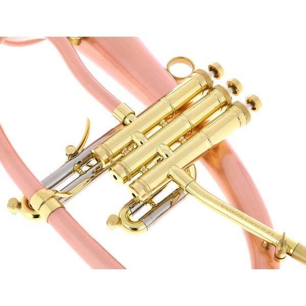 Taylor Trumpets Phat Boy