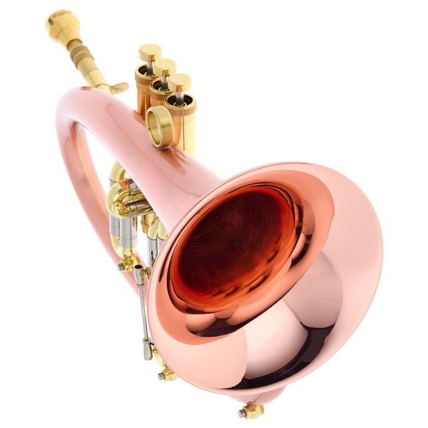 Taylor Trumpets Phat Boy
