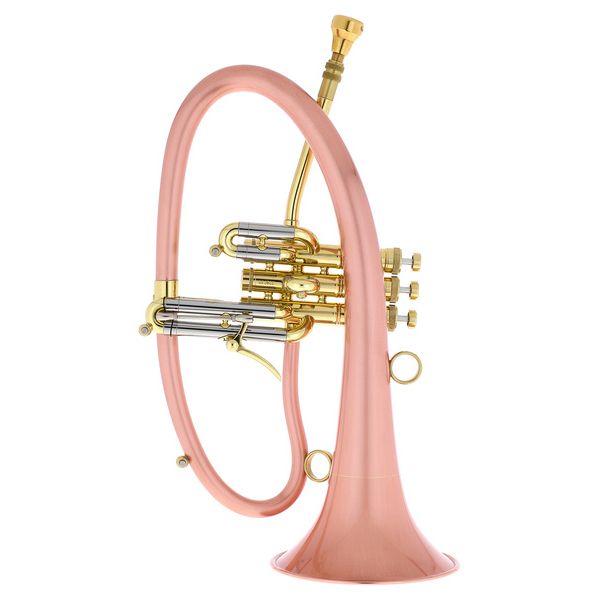 Taylor Trumpets Phat Boy