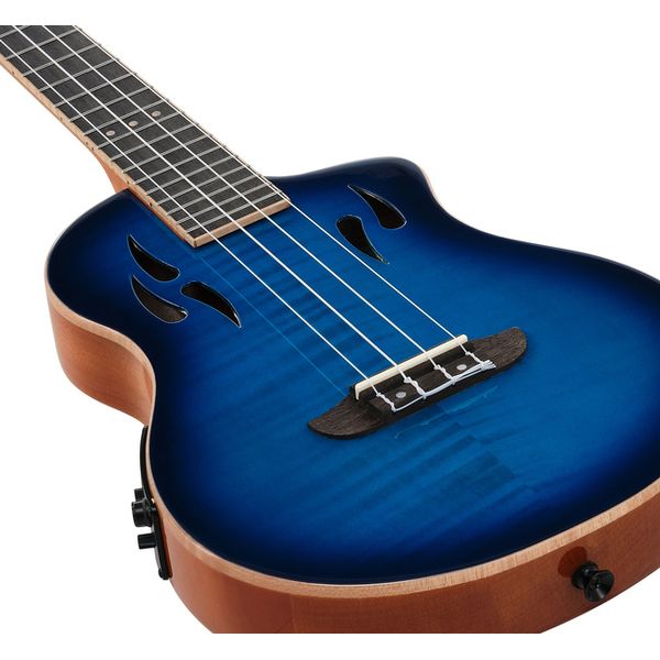 Ortega RTPX-U-FMA