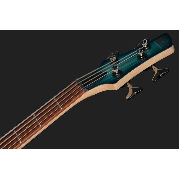 Ibanez SR300E-DOT