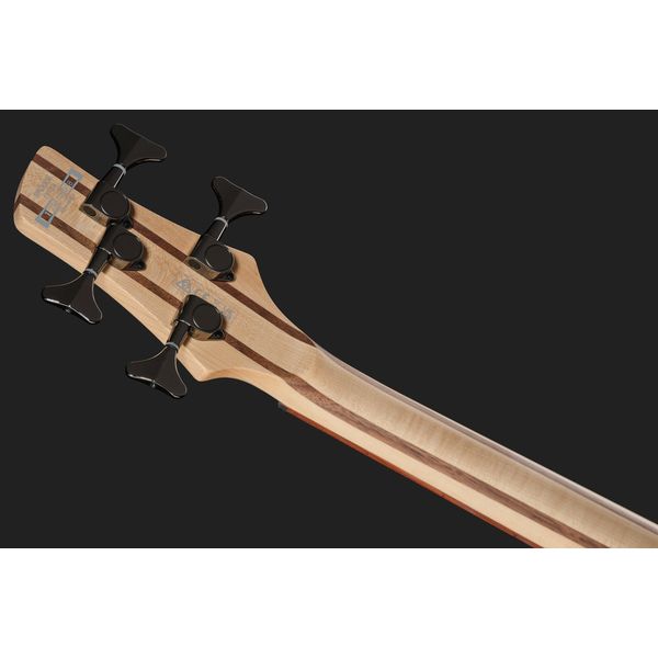 Ibanez SR300E-DOT