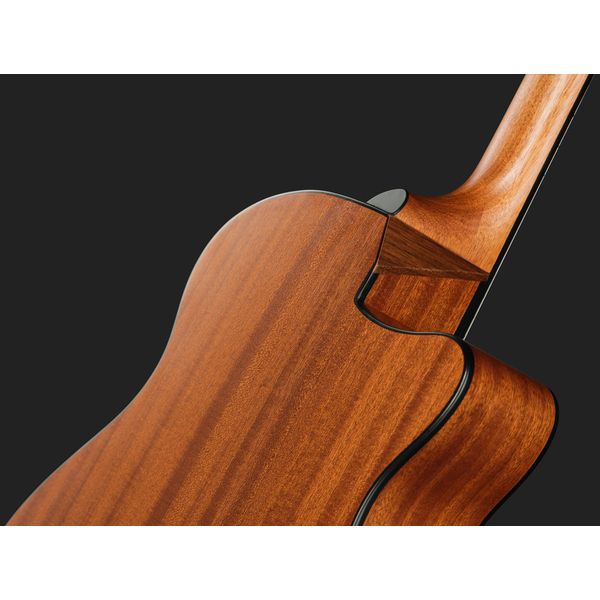 Ibanez AAM50LCE-OLB