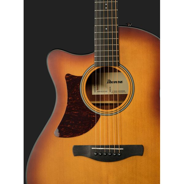 Ibanez AAM50LCE-OLB