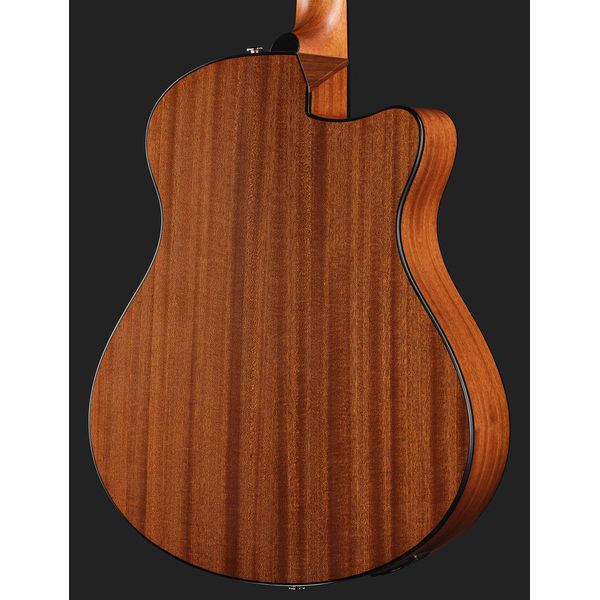Ibanez AAM50LCE-OLB