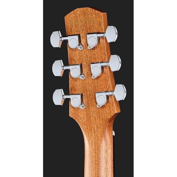 Ibanez AAM50LCE-OLB