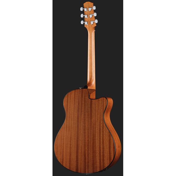 Ibanez AAM50LCE-OLB