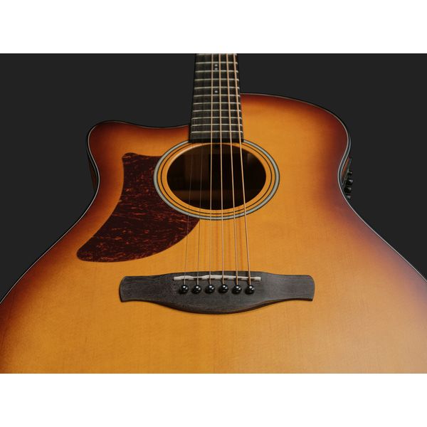 Ibanez AAM50LCE-OLB