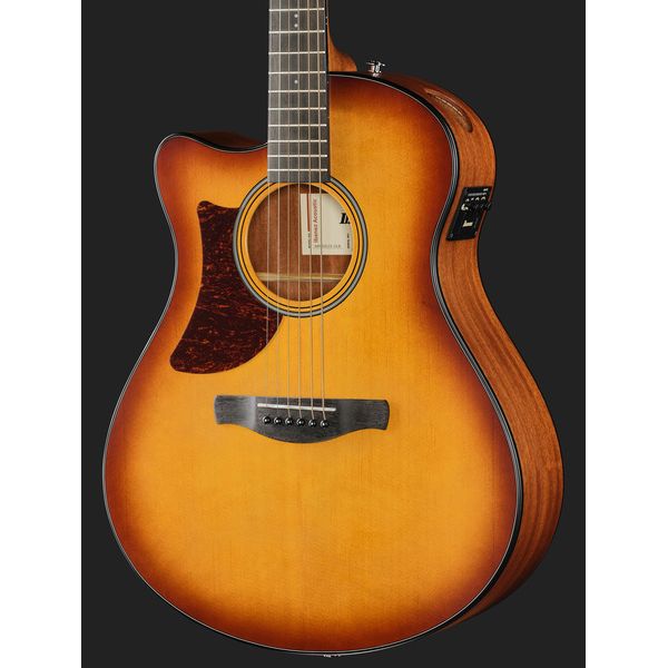 Ibanez AAM50LCE-OLB