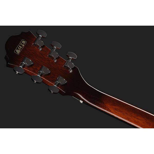 Ibanez AE160-VMS