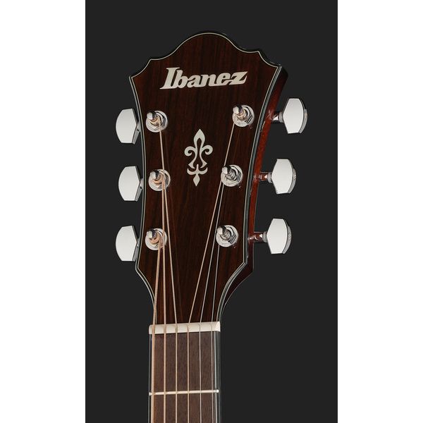 Ibanez AE160-VMS