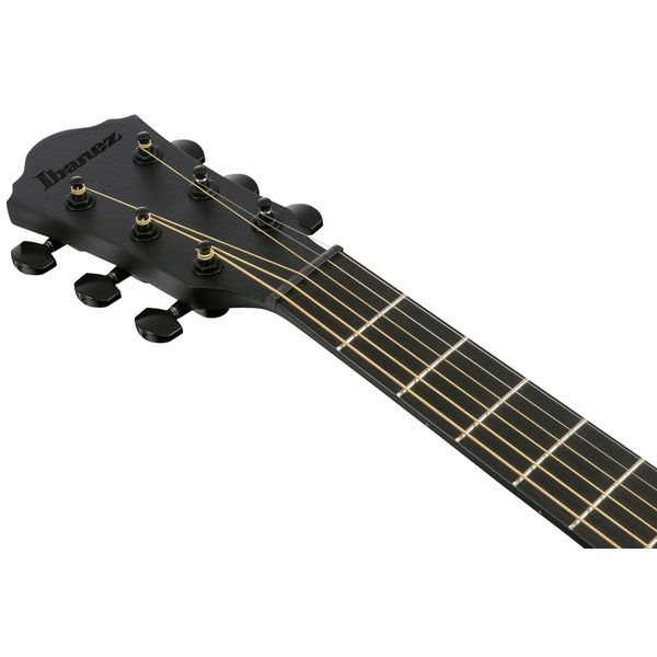 Ibanez AEWC621-BOT