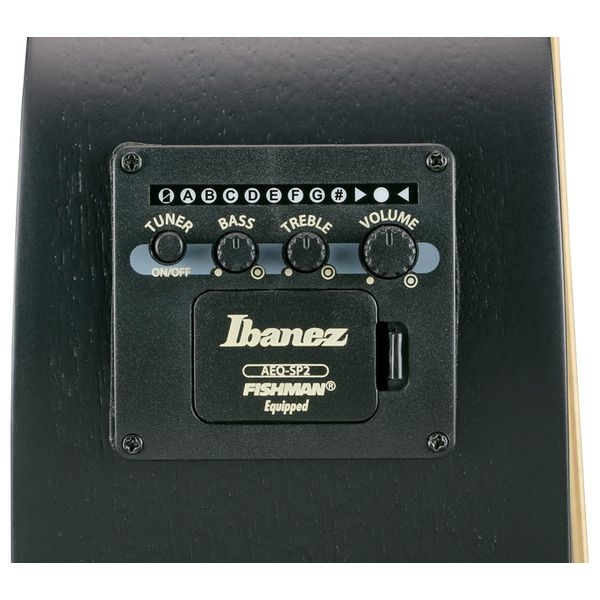 Ibanez AEWC621-BOT