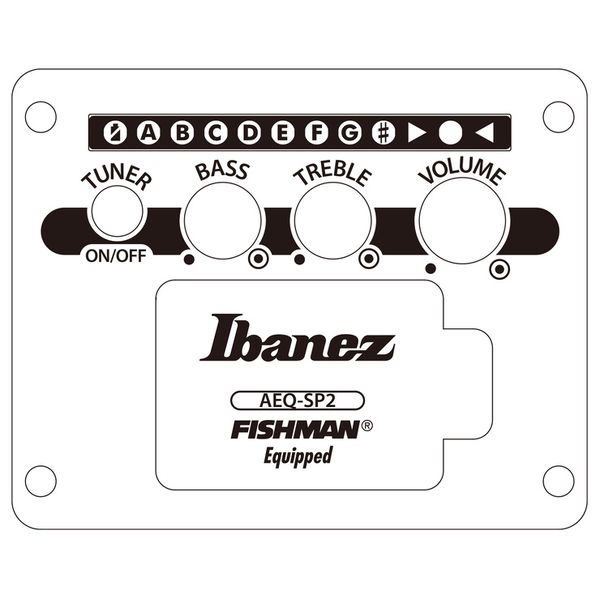 Ibanez AEWC621-BOT