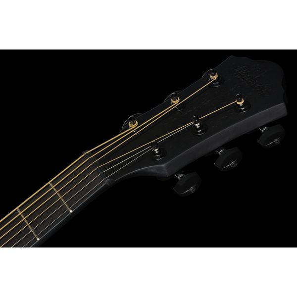 Ibanez AEWC621-BOT