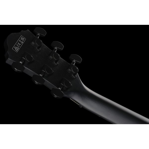 Ibanez AEWC621-BOT