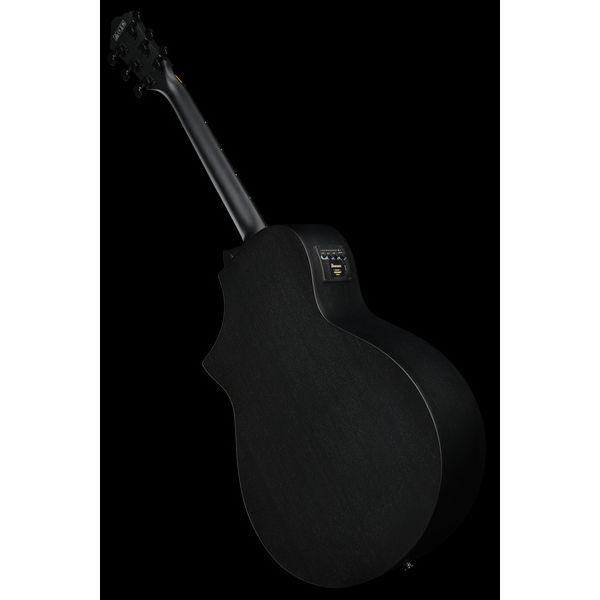 Ibanez AEWC621-BOT