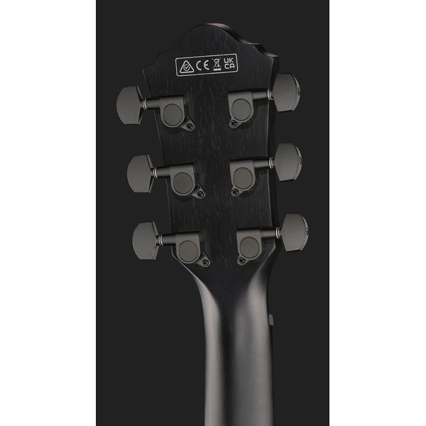 Ibanez AEWC621-BOT