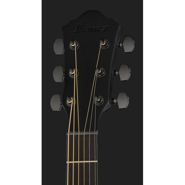 Ibanez AEWC621-BOT