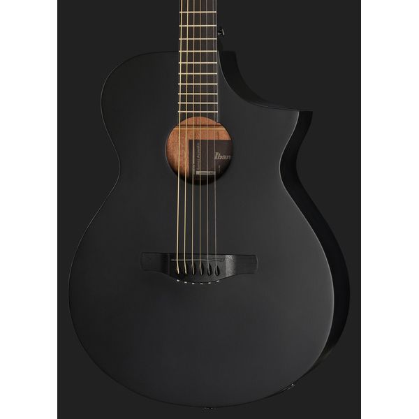 Ibanez AEWC621-BOT