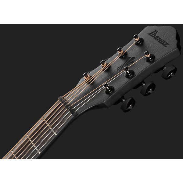 Ibanez AEG721-BOT