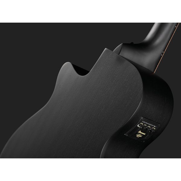 Ibanez AEG721-BOT