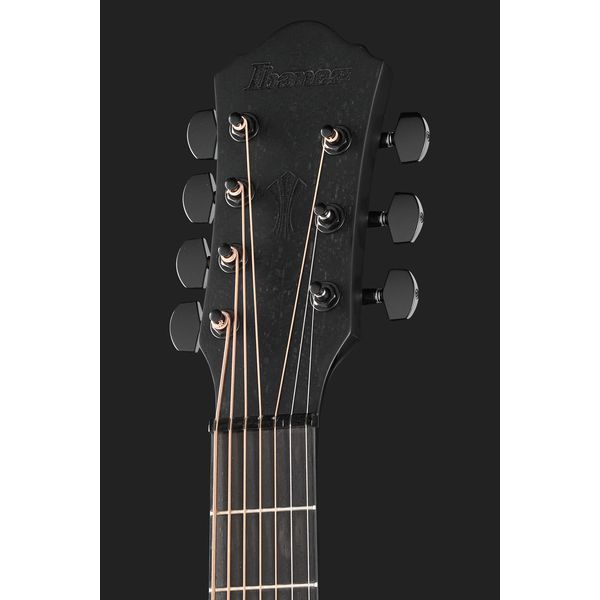 Ibanez AEG721-BOT