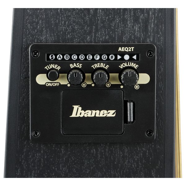 Ibanez TCY621-BOT