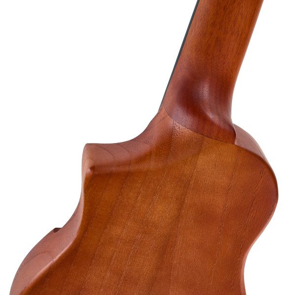 Ibanez AUP10N-OLB