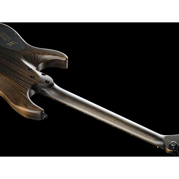 Mayones Guitars Aquila Cardinal 6 Christianson