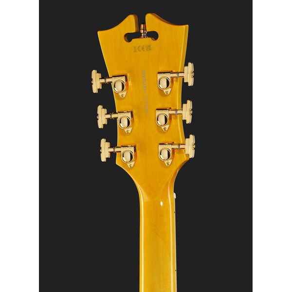 DAngelico Premier EXL1 Honey Blonde