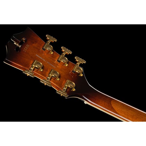 DAngelico Premier EXL1 Brown Burst