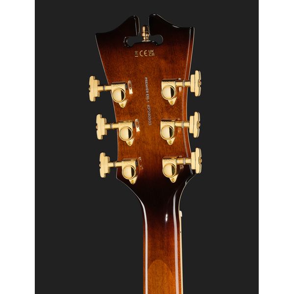 DAngelico Premier EXL1 Brown Burst