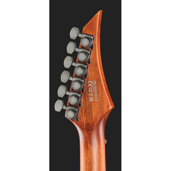 Solar Guitars T1.6AD Aged Natural
