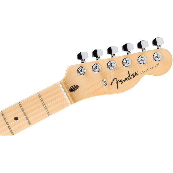 Fender Standard Tele MN WPG AMM