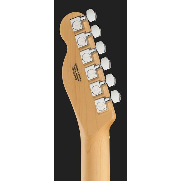 Fender Standard Tele MN WPG AMM