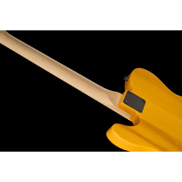 Fender Standard Tele MN BPG BTB