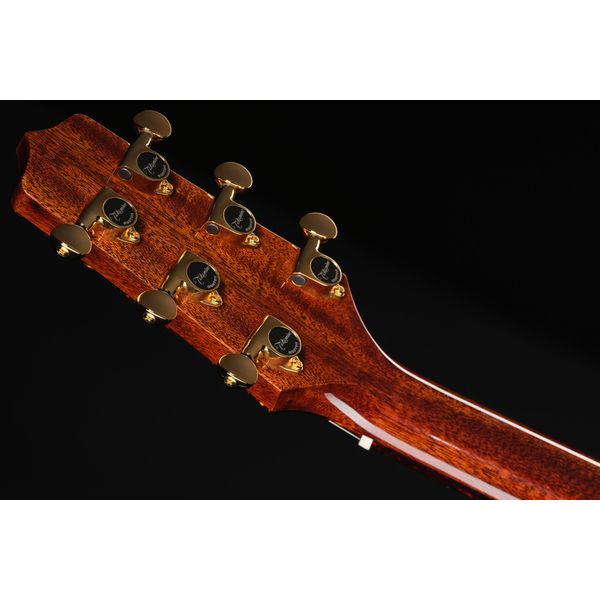 Takamine LTD2025