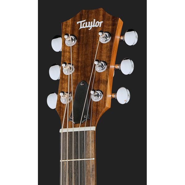 Taylor GS Mini-e Rosewood SB