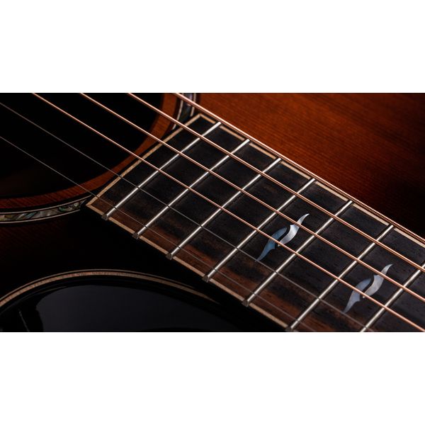 Taylor Builder’s Ed. 814ce Sinker