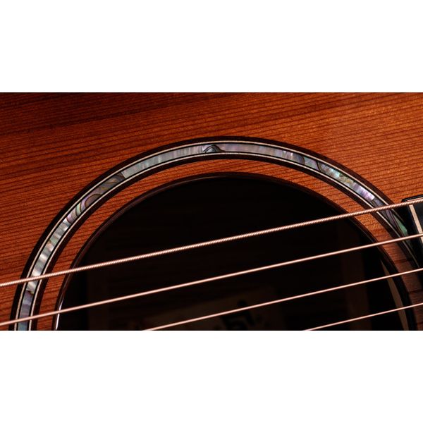 Taylor Builder’s Ed. 814ce Sinker